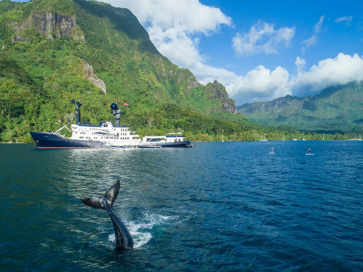 Arctic Yacht Charter