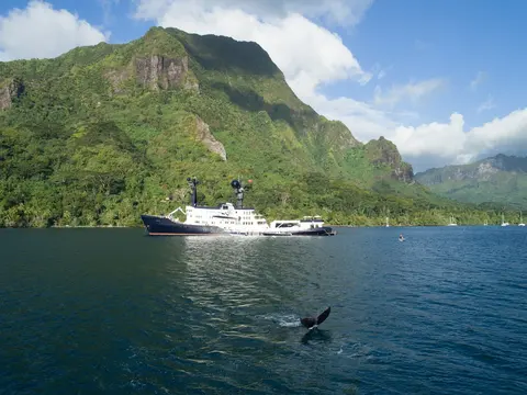 Arctic Yacht Charter, photograph 7