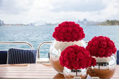 Chaos Yacht Charter, photograph 9