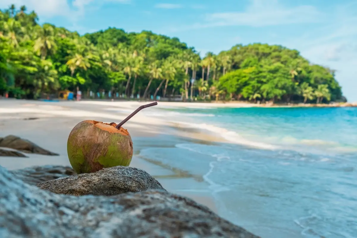 Desert Island Yacht Charter