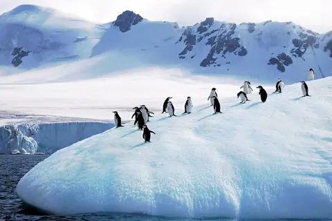 Luxury Yacht Charter and Rental in Antarctica, photograph 11