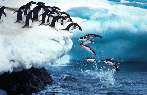 Luxury Yacht Charter and Rental in Antarctica, photograph 7