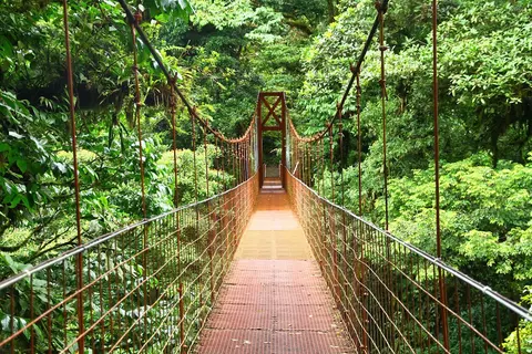 Luxury Yacht Charter and Rental in Costa Rica, photograph 10