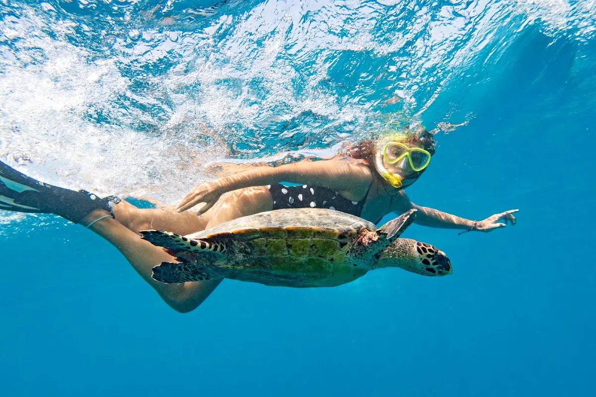 Luxury Yacht Charter and Rental in Fiji