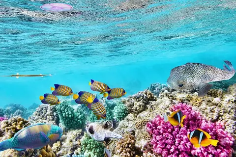 Luxury Yacht Charter and Rental in Fiji, photograph 4