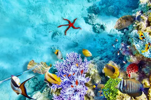 Luxury Yacht Charter and Rental in Fiji, photograph 5