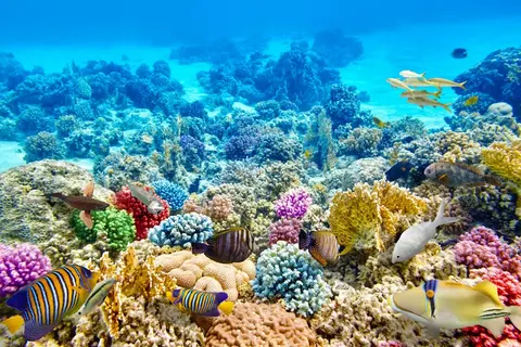 Luxury Yacht Charter and Rental in Fiji, photograph 6