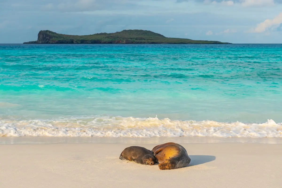 Luxury Yacht Charter and Rental in Galapagos