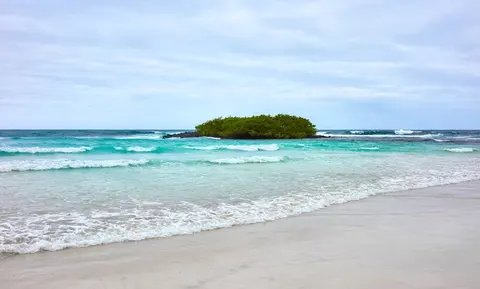 Luxury Yacht Charter and Rental in Galapagos, photograph 12