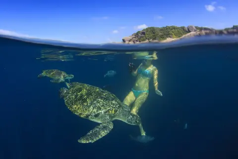 Luxury Yacht Charter and Rental in Galapagos, photograph 3