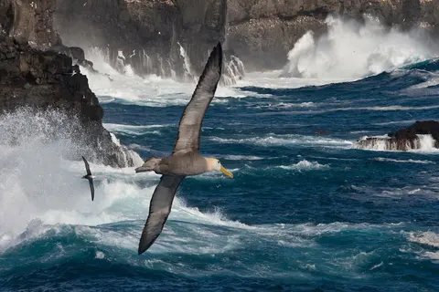 Luxury Yacht Charter and Rental in Galapagos, photograph 5