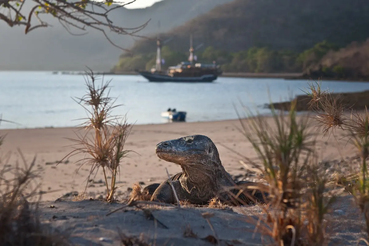 Luxury Yacht Charter and Rental in Komodo Island