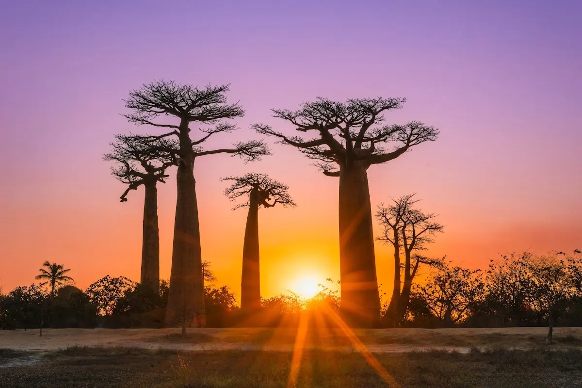 Luxury Yacht Charter and Rental in Madagascar