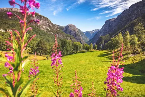 Luxury Yacht Charter and Rental in Norway, photograph 6