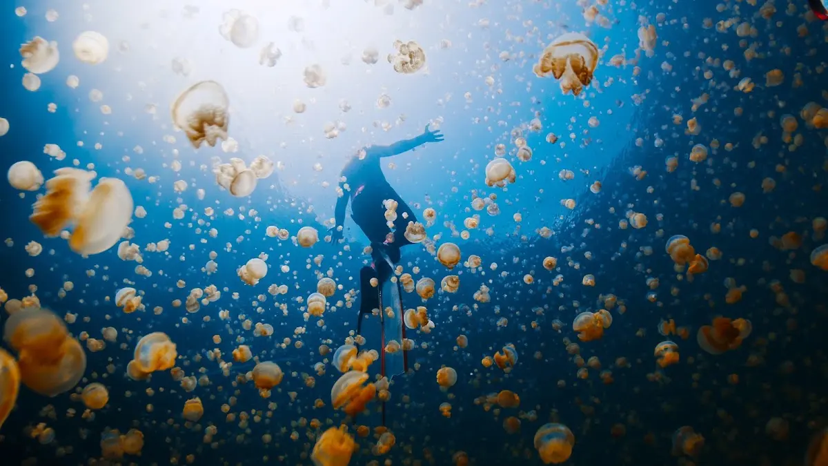 Luxury Yacht Charter and Rental in Raja Ampat