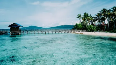Luxury Yacht Charter and Rental in Raja Ampat, photograph 10