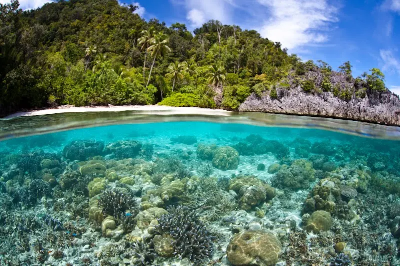 Luxury Yacht Charter and Rental in Raja Ampat
