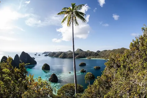 Luxury Yacht Charter and Rental in Raja Ampat, photograph 4