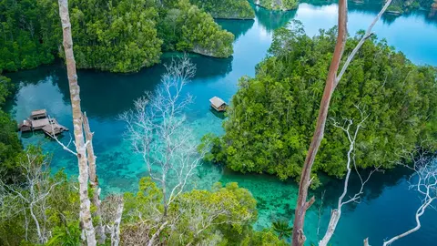 Luxury Yacht Charter and Rental in Raja Ampat, photograph 8