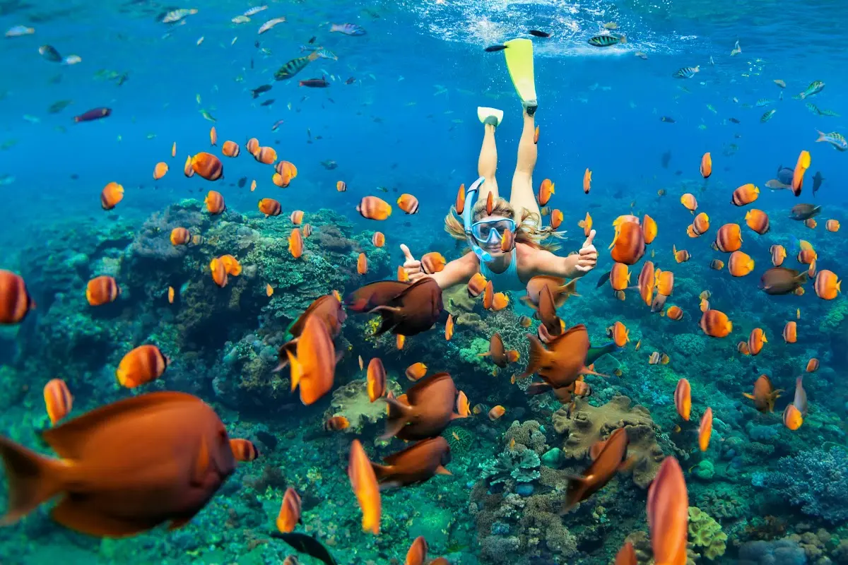 Luxury Yacht Charter and Rental in the Maldives