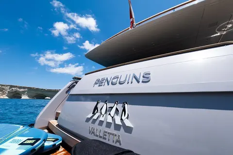 Penguins Yacht Charter, photograph 10
