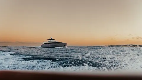 Penguins Yacht Charter, photograph 5