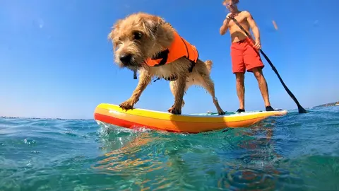 Pet-Friendly Charter, photograph 3