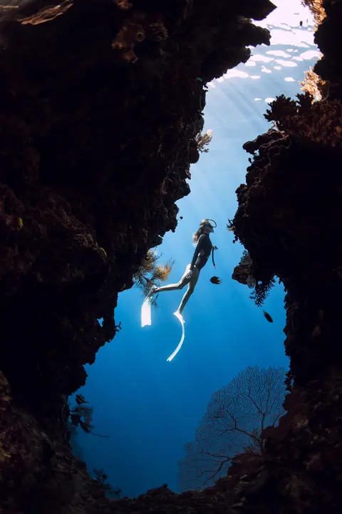 Scuba Diving Charter, photograph 2