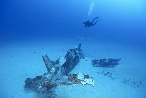 Scuba Diving Charter, photograph 4