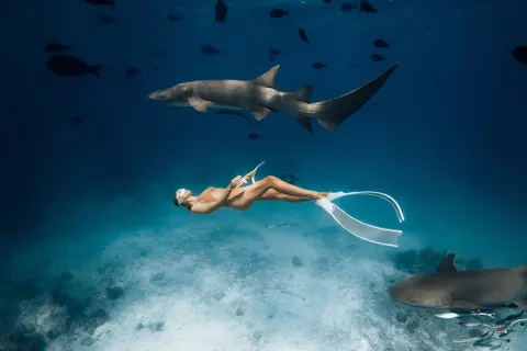 Scuba Diving Charter, photograph 12