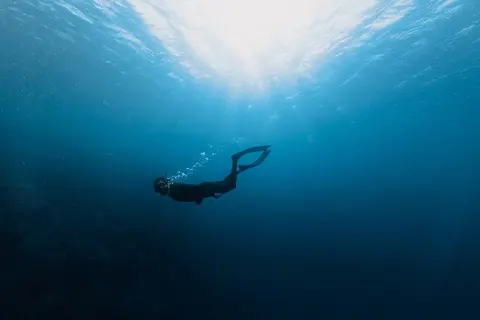 Scuba Diving Charter, photograph 9